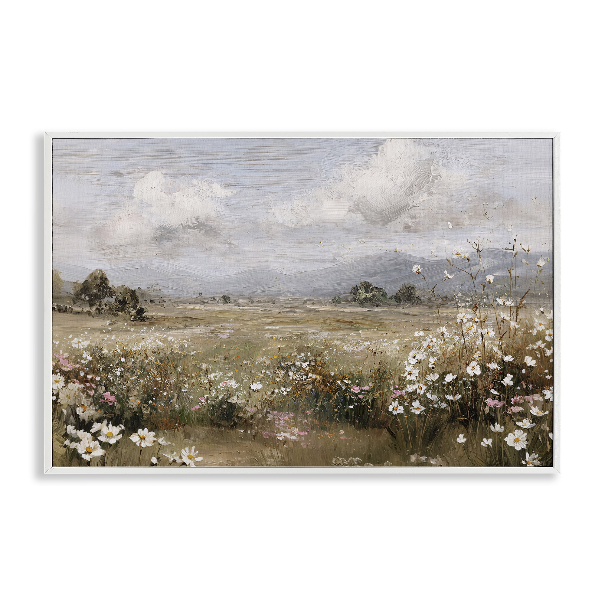 Stupell Industries Daisy Clusters in Field White Framed Giclee Art, design by Jacky Ngan