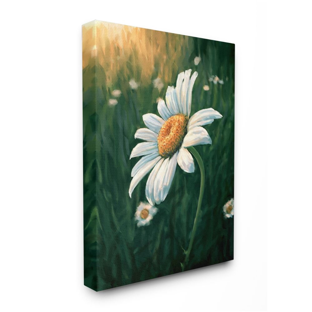 Stupell Industries Daisy Details in Field of Spring Flowers Designed by Ziwei Li