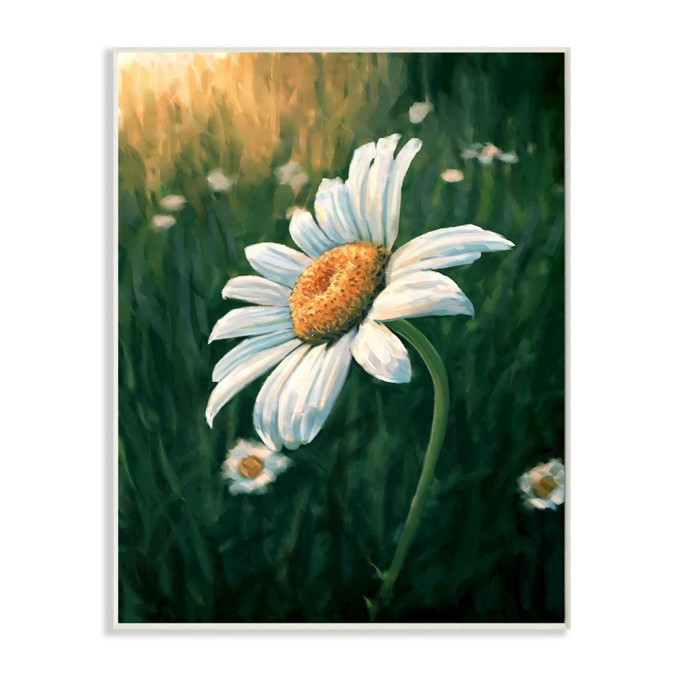 Stupell Industries Daisy Details in Field of Spring Flowers Designed by Ziwei Li