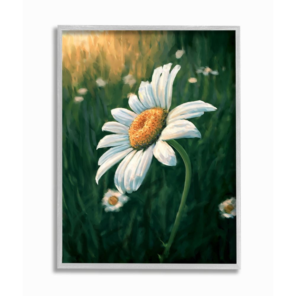 Stupell Industries Daisy Details in Field of Spring Flowers Designed by Ziwei Li