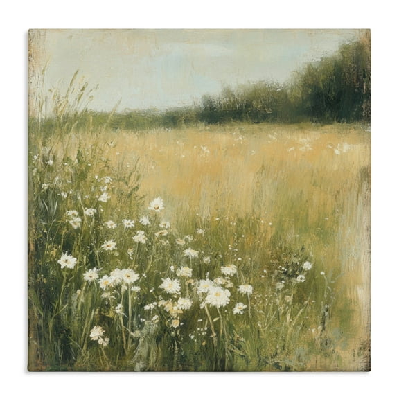Stupell Industries Daisy Dream Field Canvas Wall Art design by Petal Prints Design, 36 x 36