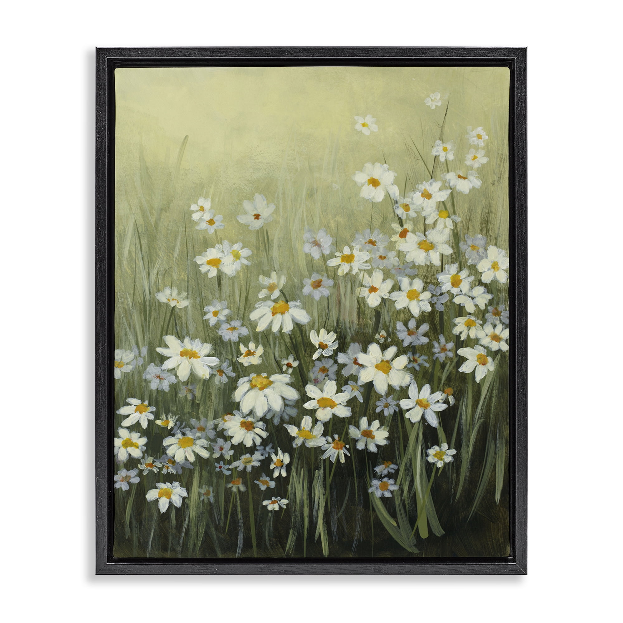 Stupell Industries Daisy Field Garden Plants & Flowers Painting Black Floater Framed Canvas Art Print Wall Art, 17 x 21