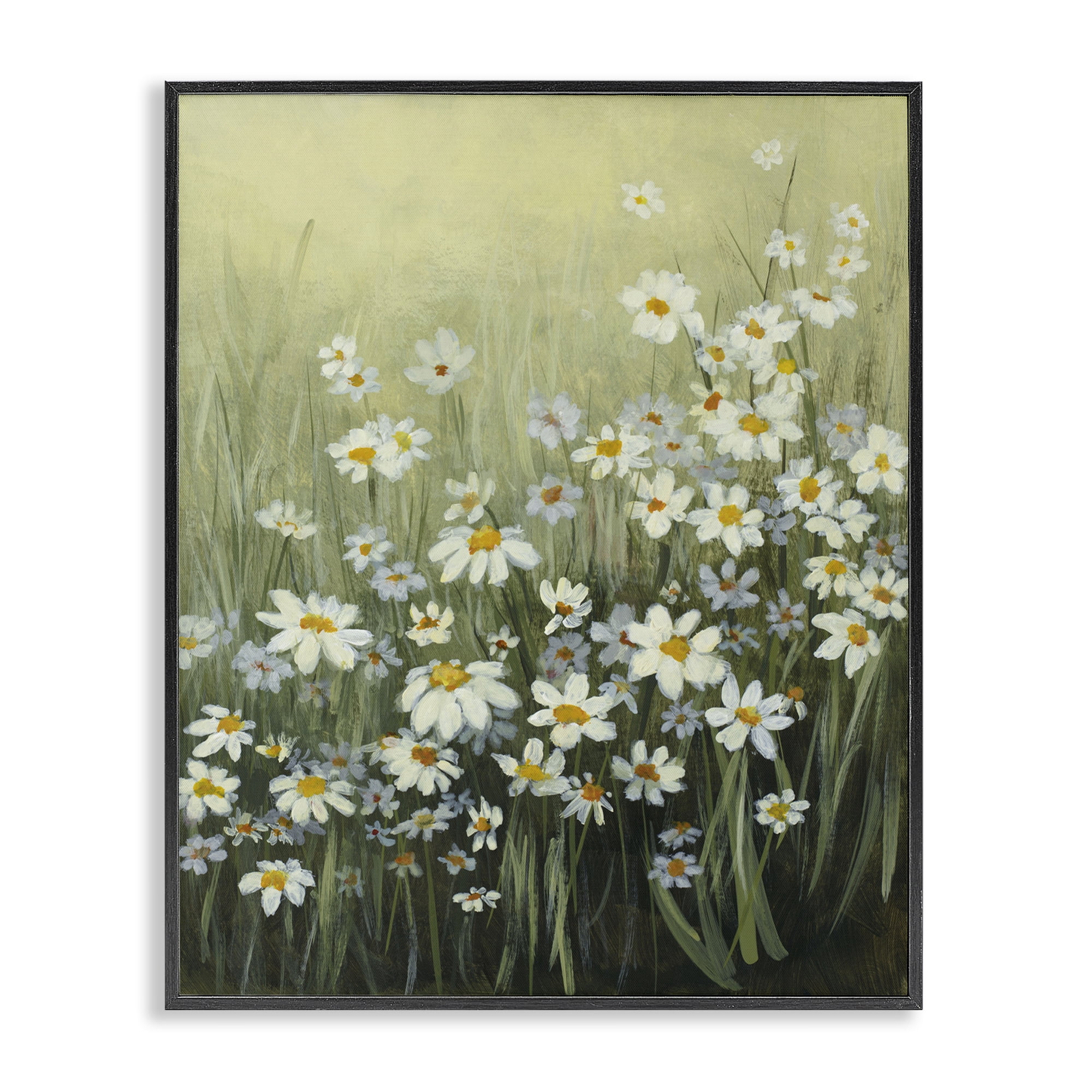 Stupell Industries Daisy Field Garden Plants & Flowers Painting Black Framed Art Print Wall Art, 16 x 20