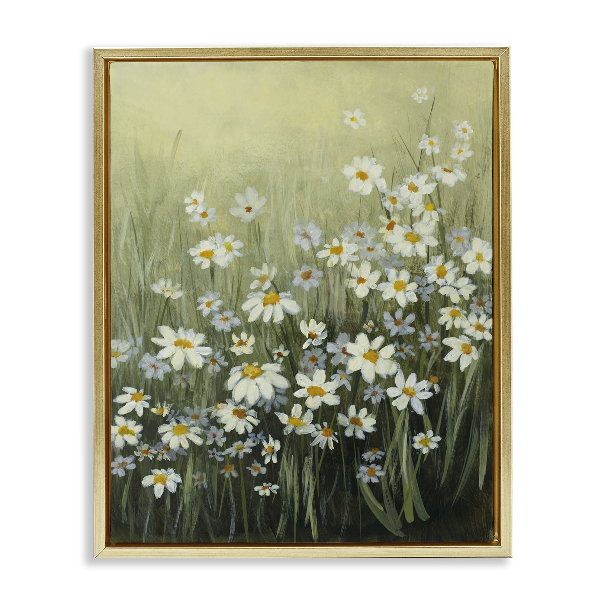 Stupell Industries Daisy Field Garden Plants & Flowers Painting Gold Floater Framed Canvas Art Print Wall Art, 17 x 21
