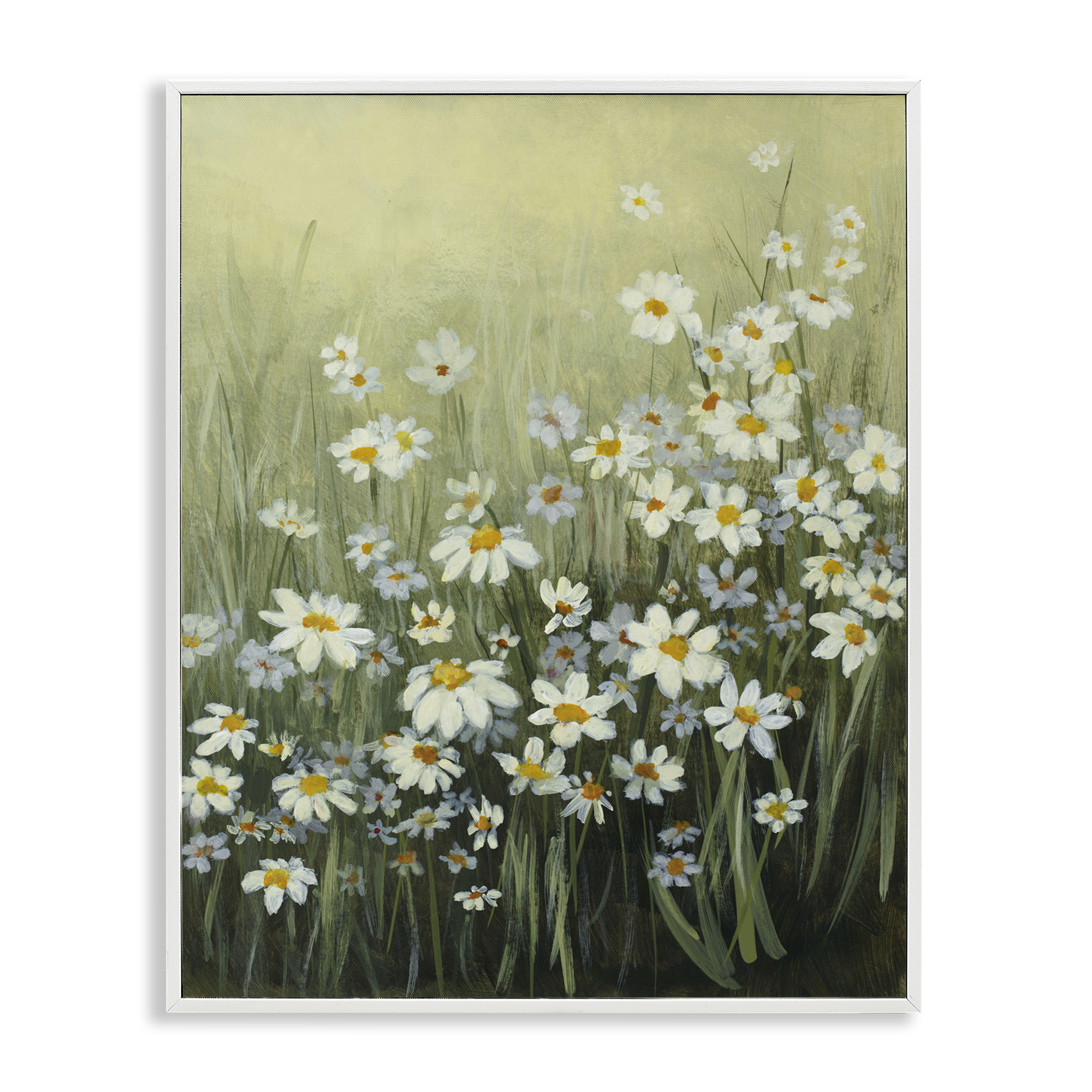 Stupell Industries Daisy Field Garden Plants & Flowers Painting White Framed Art Print Wall Art, 11 x 14
