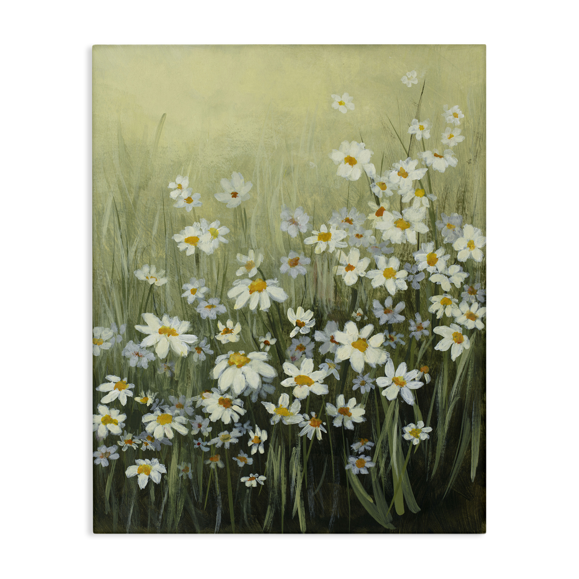 Stupell Industries Daisy Field Garden Plants & Flowers Painting Wrapped Canvas Art Print Wall Art, 16 x 20