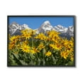 thumbnail image 1 of Stupell Industries Daisy Meadow & Mountains Landscape Photography Black Framed Art Print Wall Art, 14 x 11, 1 of 9