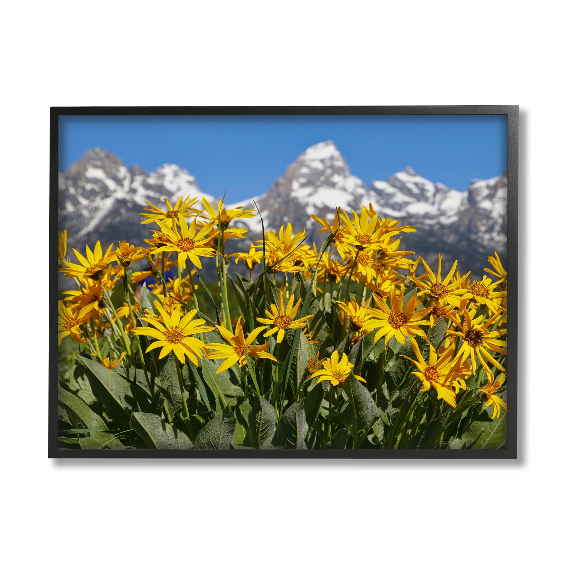 Stupell Industries Daisy Meadow & Mountains Landscape Photography Black Framed Art Print Wall Art, 20 x 16