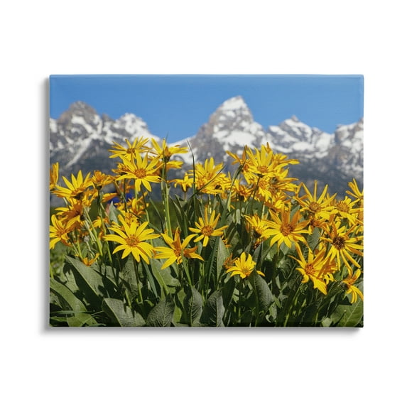 Stupell Industries Daisy Meadow & Mountains Landscape Photography Gallery Wrapped Canvas Art Print Wall Art, 40 x 30