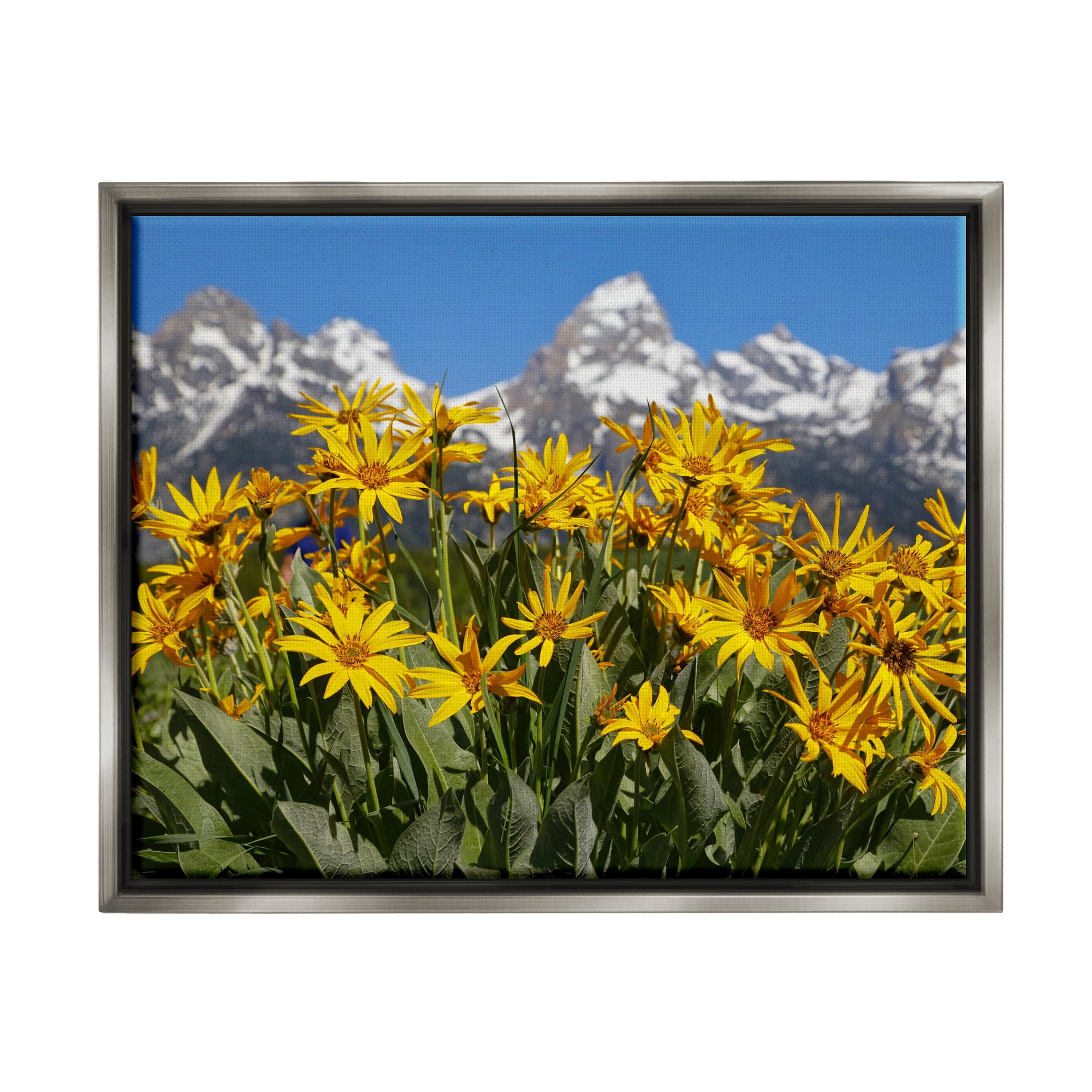 Stupell Industries Daisy Meadow & Mountains Landscape Photography Gray Floater Framed Canvas Art Print Wall Art, 31 x 25