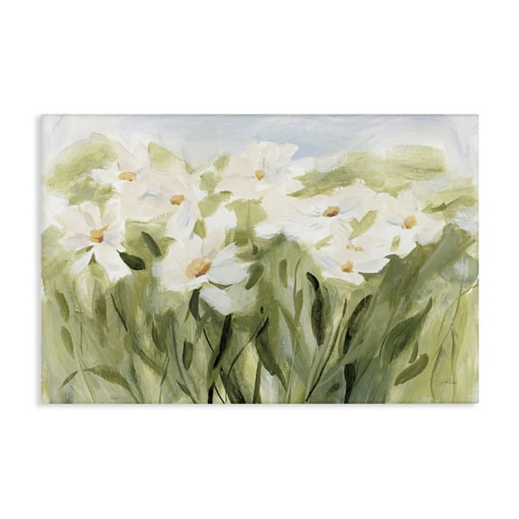 Stupell Industries Daisy Meadow View Botanical & Floral Painting Gallery Wrapped Canvas Art Print Wall Art, 24 x 16