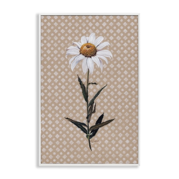 Stupell Industries Daisy Sprig over Neutral Geometric White Framed Giclee Art, design by Cady Driver