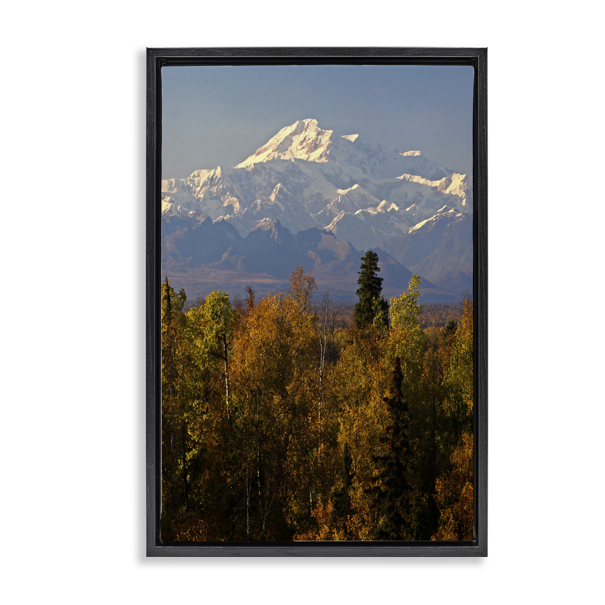 Stupell Industries Danali Autumn Landscape Landscape & Nature Photography Black Floater Framed Canvas Art Print Wall Art, 21 x 31