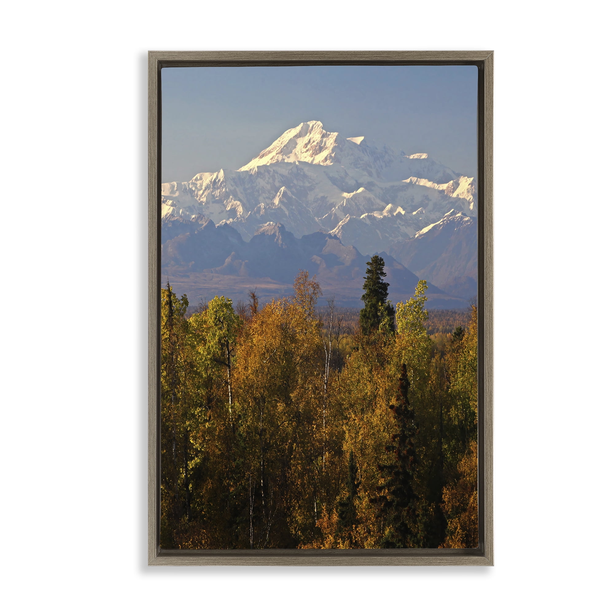 Stupell Industries Danali Autumn Landscape Landscape & Nature Photography Brown Floater Framed Canvas Art Print Wall Art, 21 x 31