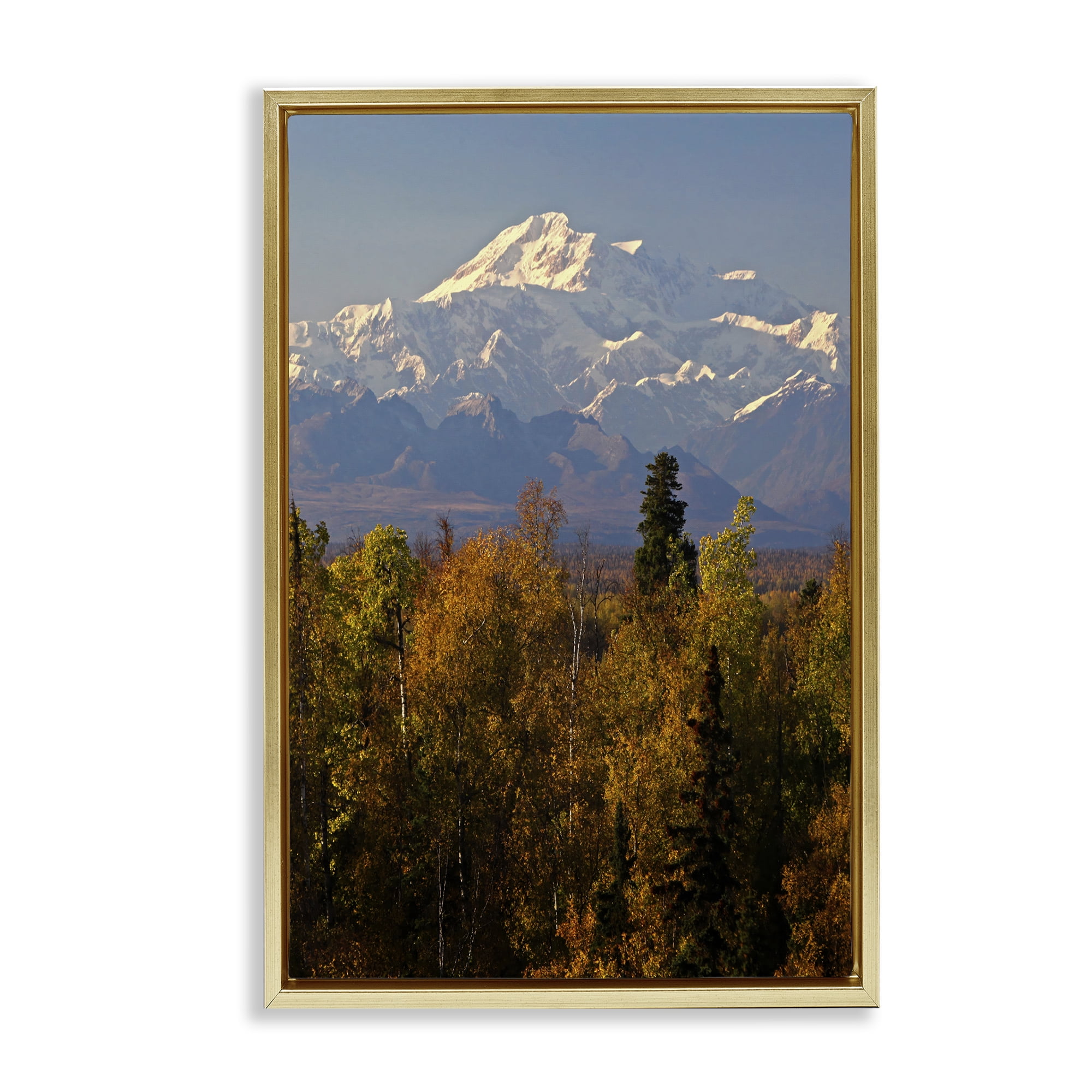 Stupell Industries Danali Autumn Landscape Landscape & Nature Photography Gold Floater Framed Canvas Art Print Wall Art, 21 x 31