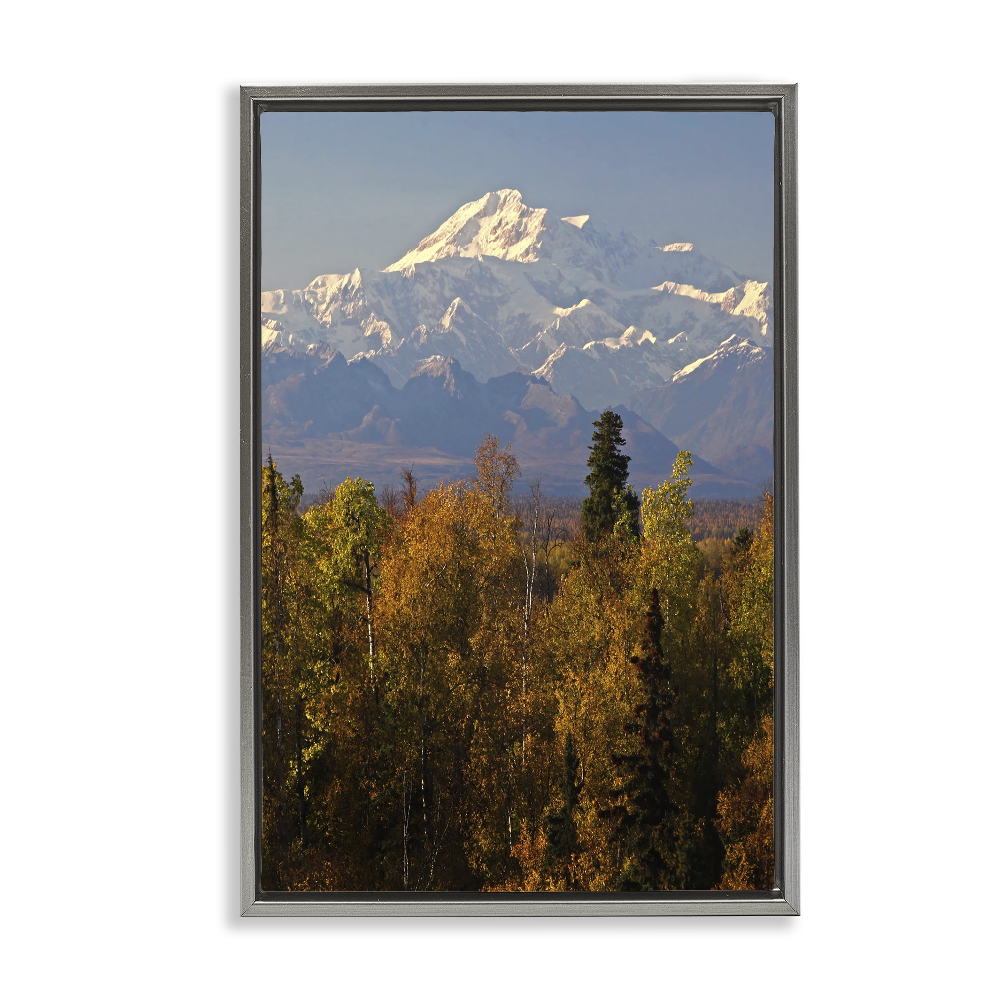 Stupell Industries Danali Autumn Landscape Landscape & Nature Photography Gray Floater Framed Canvas Art Print Wall Art, 17 x 25