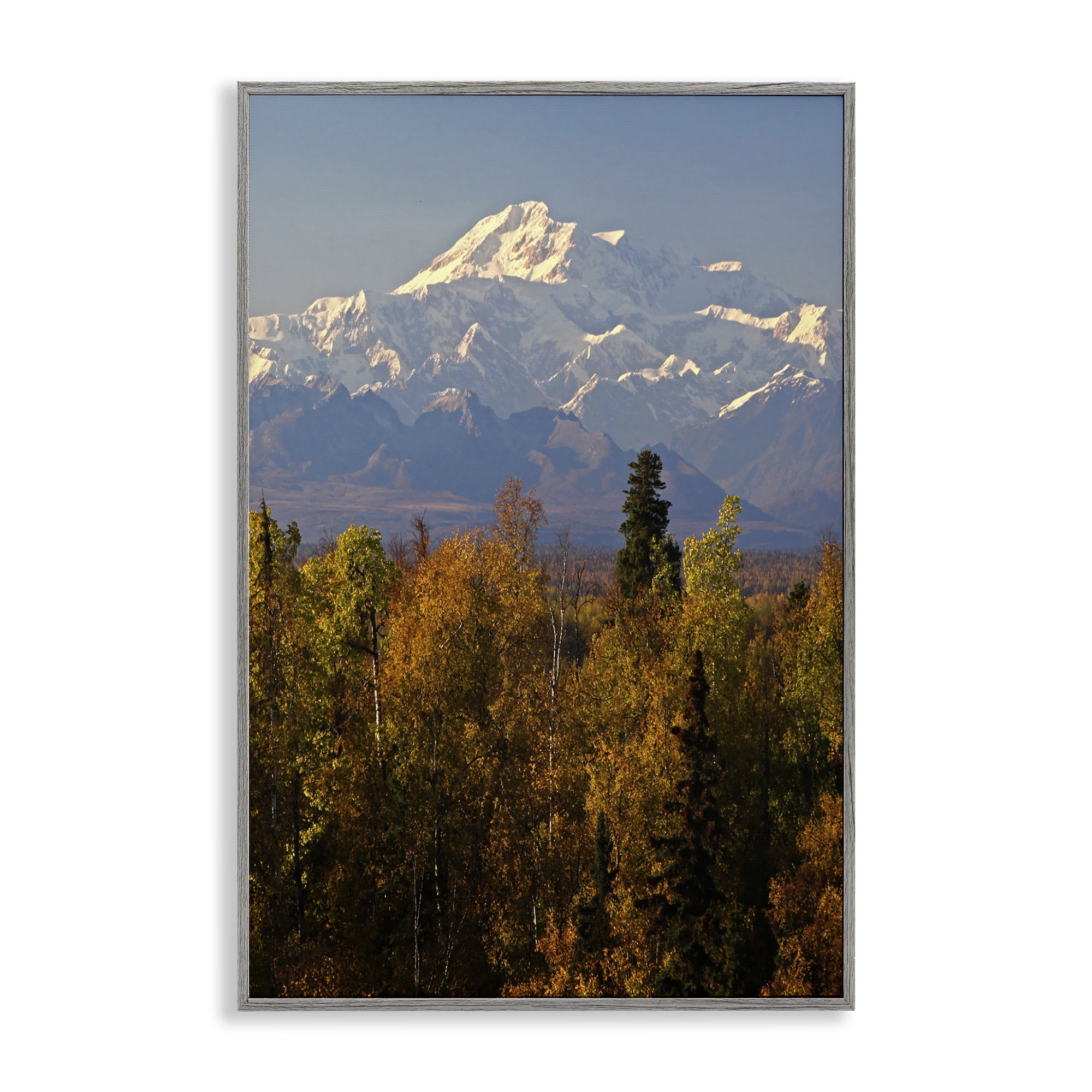 Stupell Industries Danali Autumn Landscape Landscape & Nature Photography Gray Framed Art Print Wall Art, 12 x 18