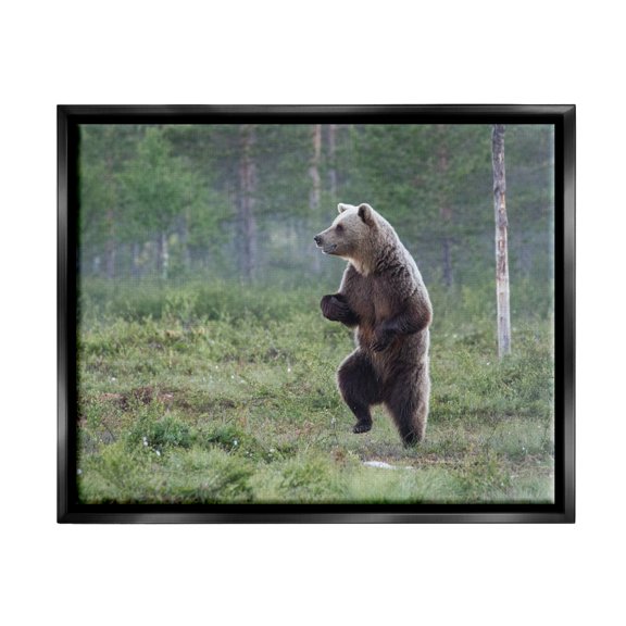 Stupell Industries Dancing Bear in Forest Animals & Insects Photography Black Floater Framed Canvas Art Print Wall Art, 21 x 17