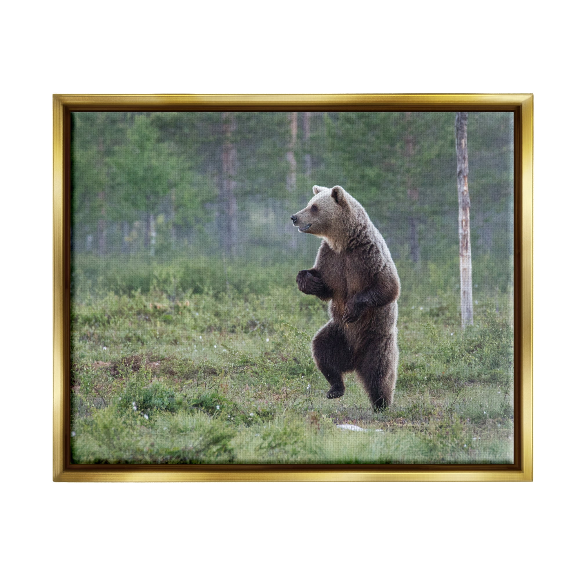 Stupell Industries Dancing Bear in Forest Animals & Insects Photography Gold Floater Framed Canvas Art Print Wall Art, 31 x 25