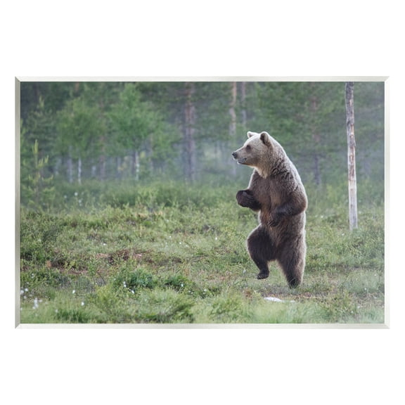 Stupell Industries Dancing Bear in Forest Animals & Insects Photography Unframed Art Print Wall Art, 15 x 10