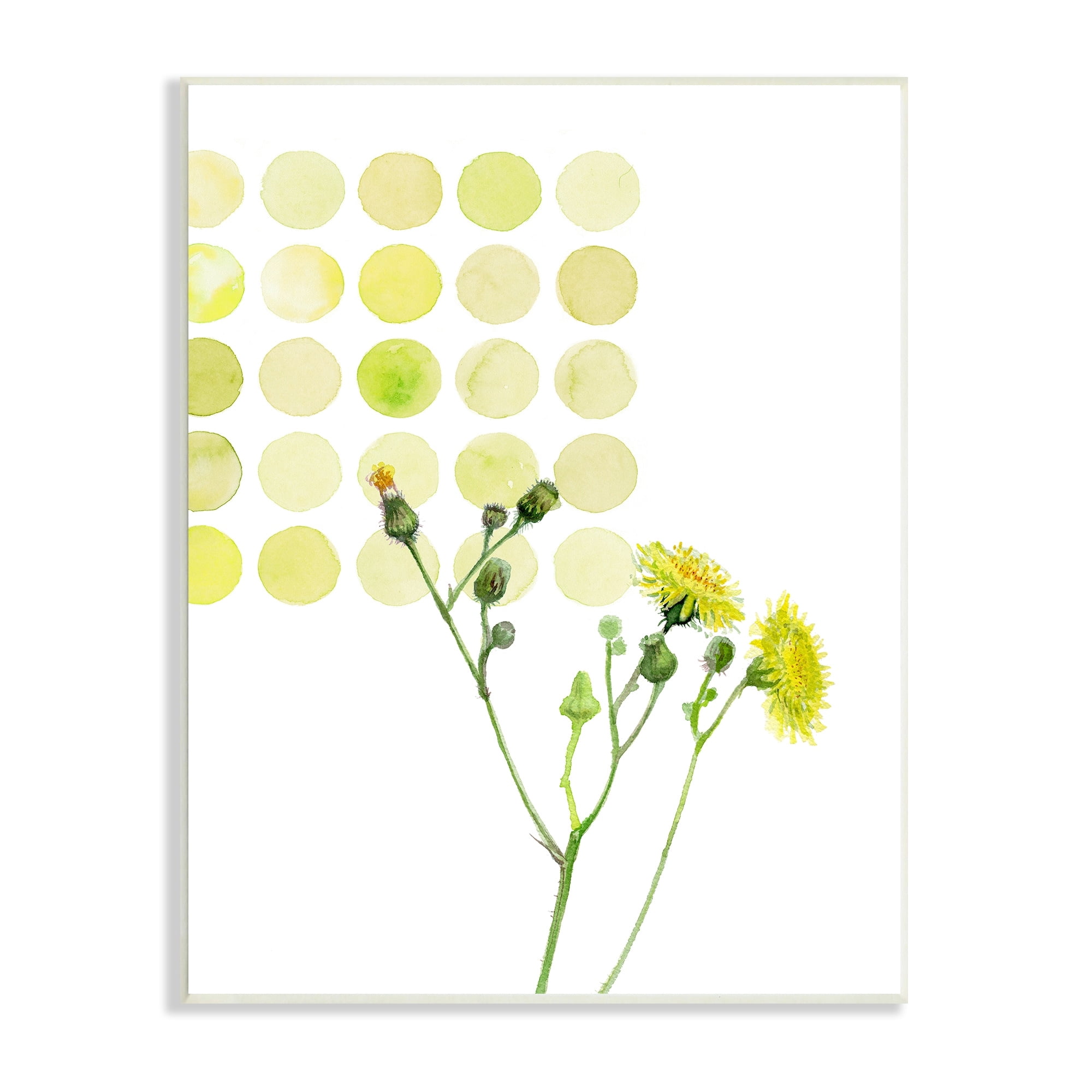 Stupell Industries Dandelion Flowers under Abstract Summer Circles Floral Painting, 13 x 19, Design by Verbrugge Watercolor