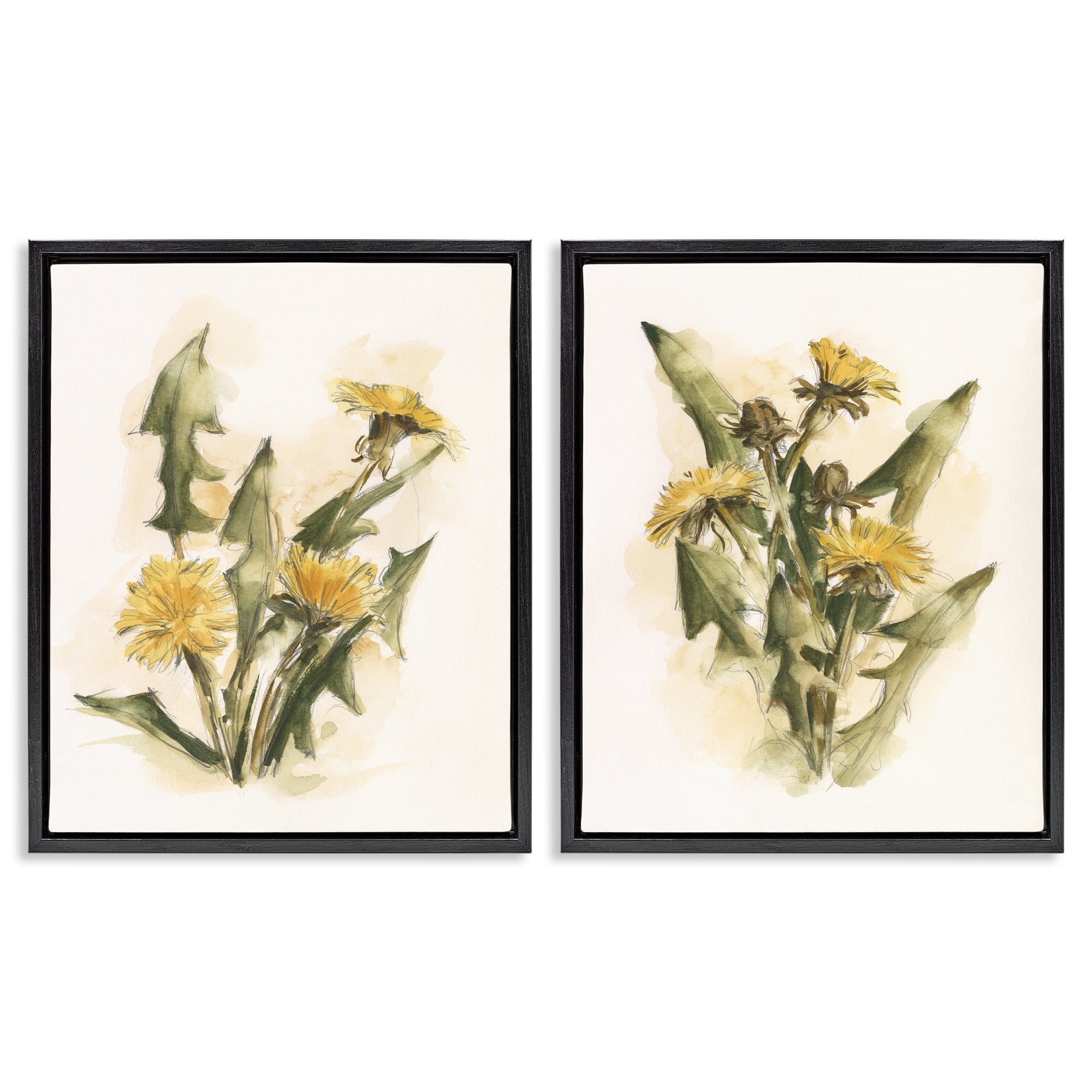 Stupell Industries Dandelion Watercolor Sketch Plants & Flowers Painting Black Floater Framed Canvas Art Print Wall Art, 31 x 25, Set of 2