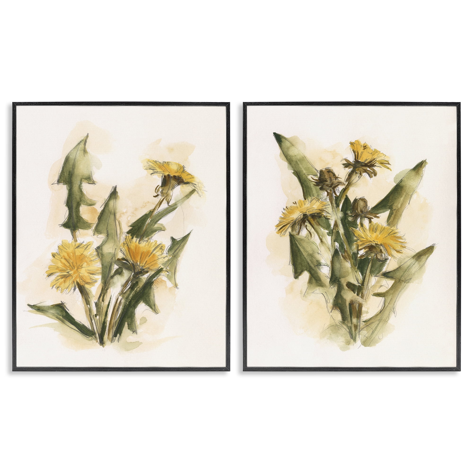 Stupell Industries Dandelion Watercolor Sketch Plants & Flowers Painting Black Framed Art Print Wall Art, 11 x 14, Set of 2