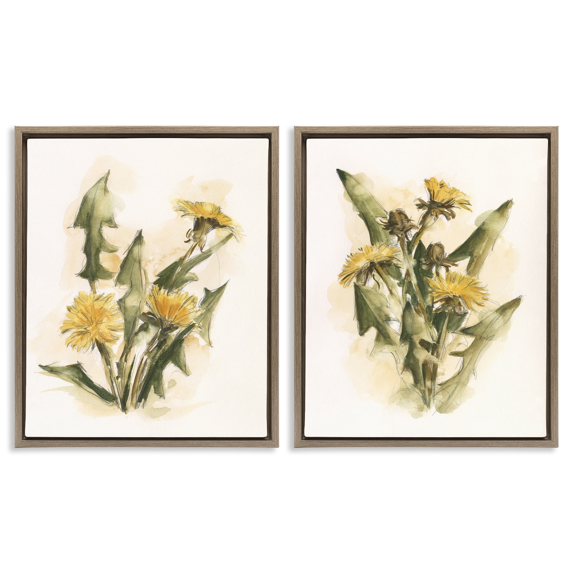 Stupell Industries Dandelion Watercolor Sketch Plants & Flowers Painting Brown Floater Framed Canvas Art Print Wall Art, 17 x 21, Set of 2