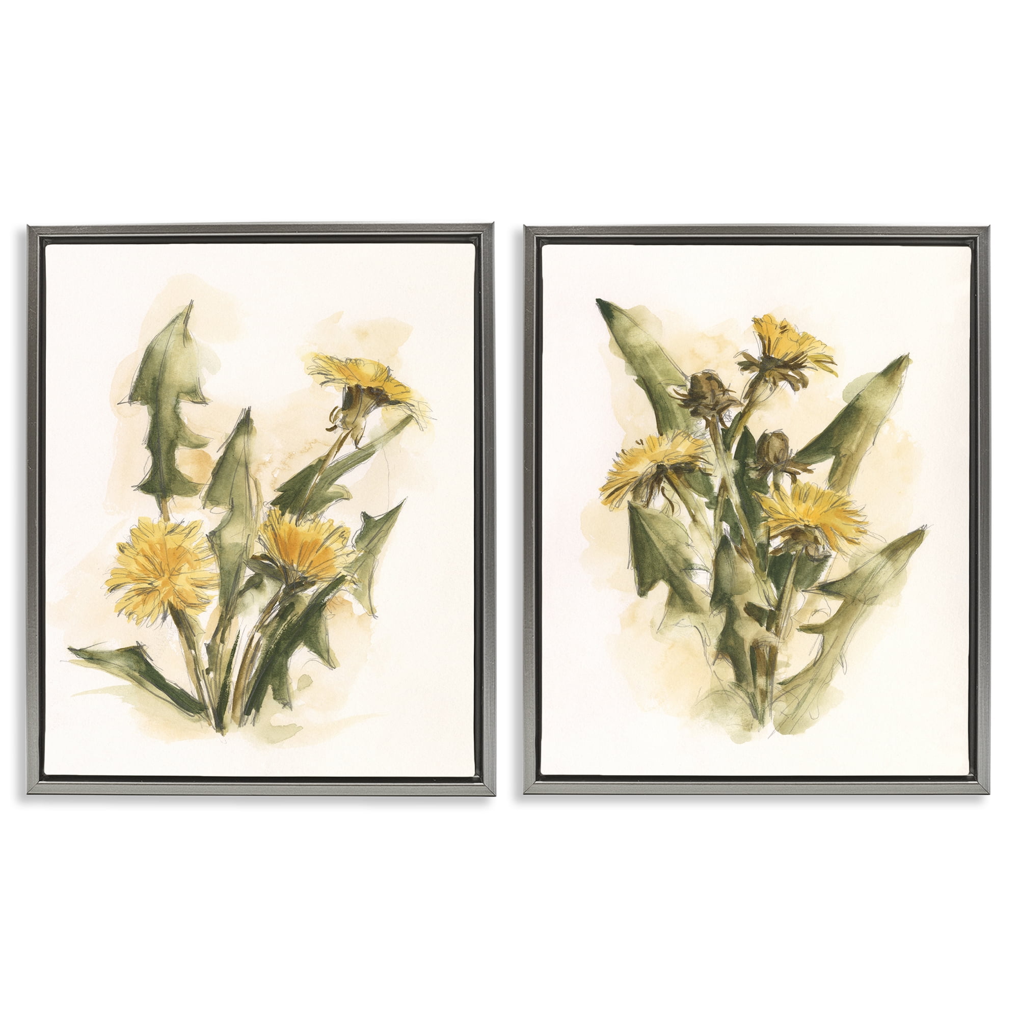 Stupell Industries Dandelion Watercolor Sketch Plants & Flowers Painting Gray Floater Framed Canvas Art Print Wall Art, 31 x 25, Set of 2