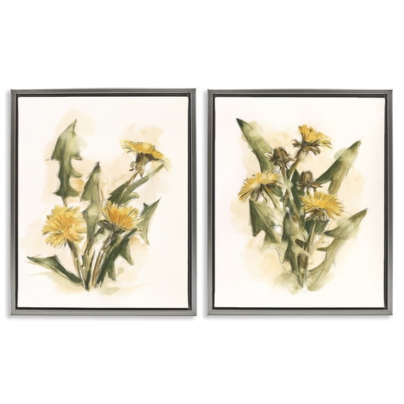 Stupell Industries Dandelion Watercolor Sketch Plants & Flowers Painting Gray Floater Framed Canvas Art Print Wall Art, 31 x 25, Set of 2