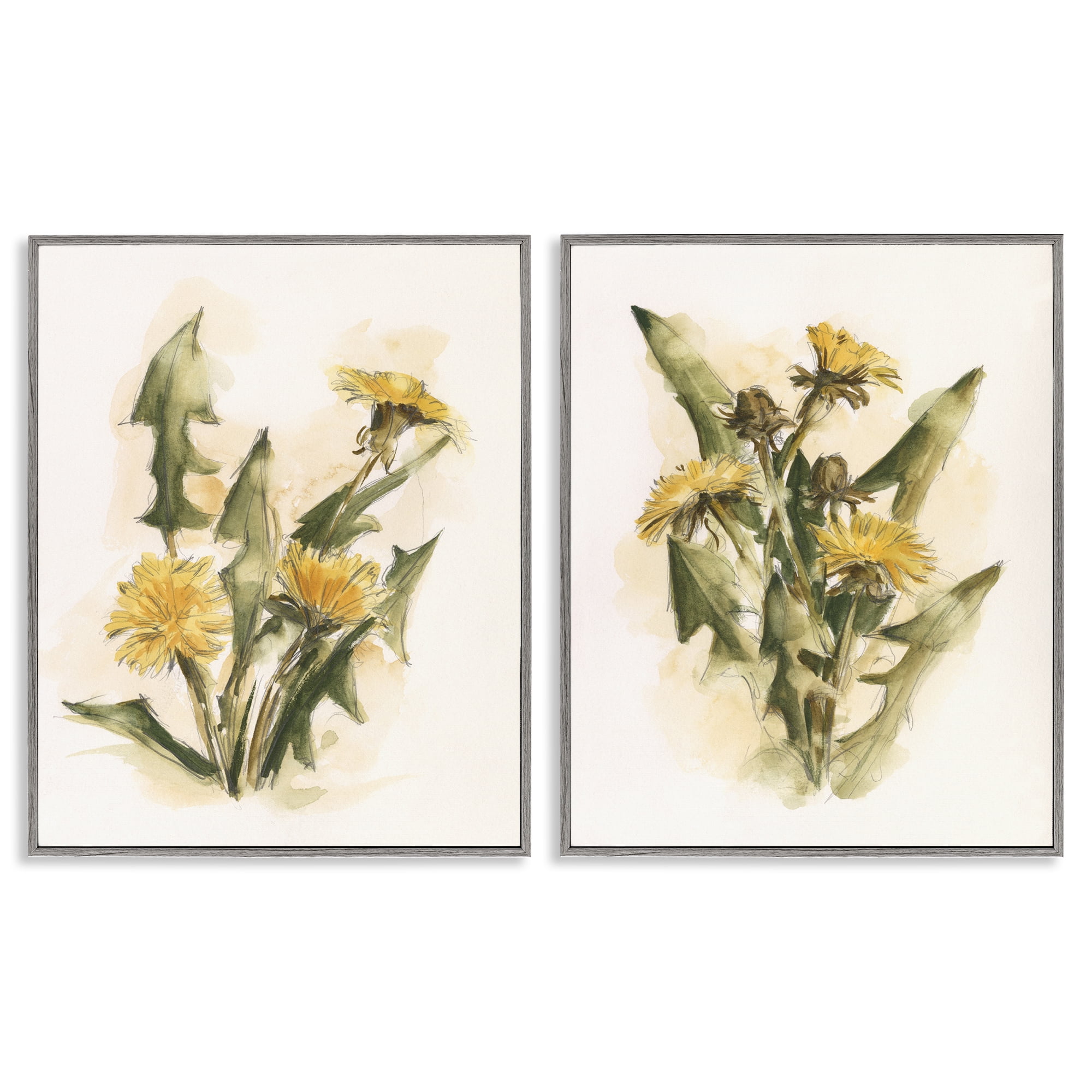 Stupell Industries Dandelion Watercolor Sketch Plants & Flowers Painting Gray Framed Art Print Wall Art, 16 x 20, Set of 2