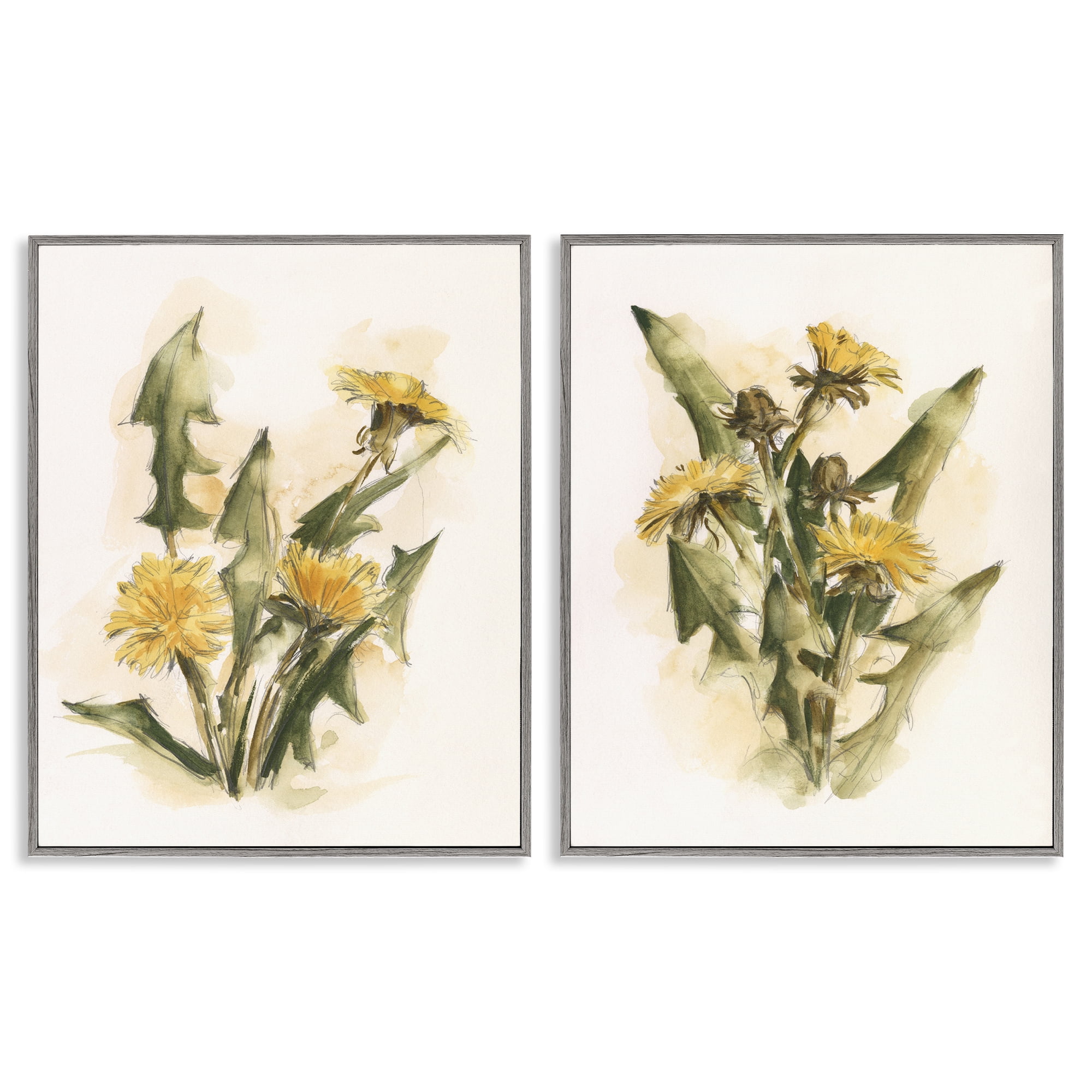 Stupell Industries Dandelion Watercolor Sketch Plants & Flowers Painting Gray Framed Art Print Wall Art, 24 x 30, Set of 2