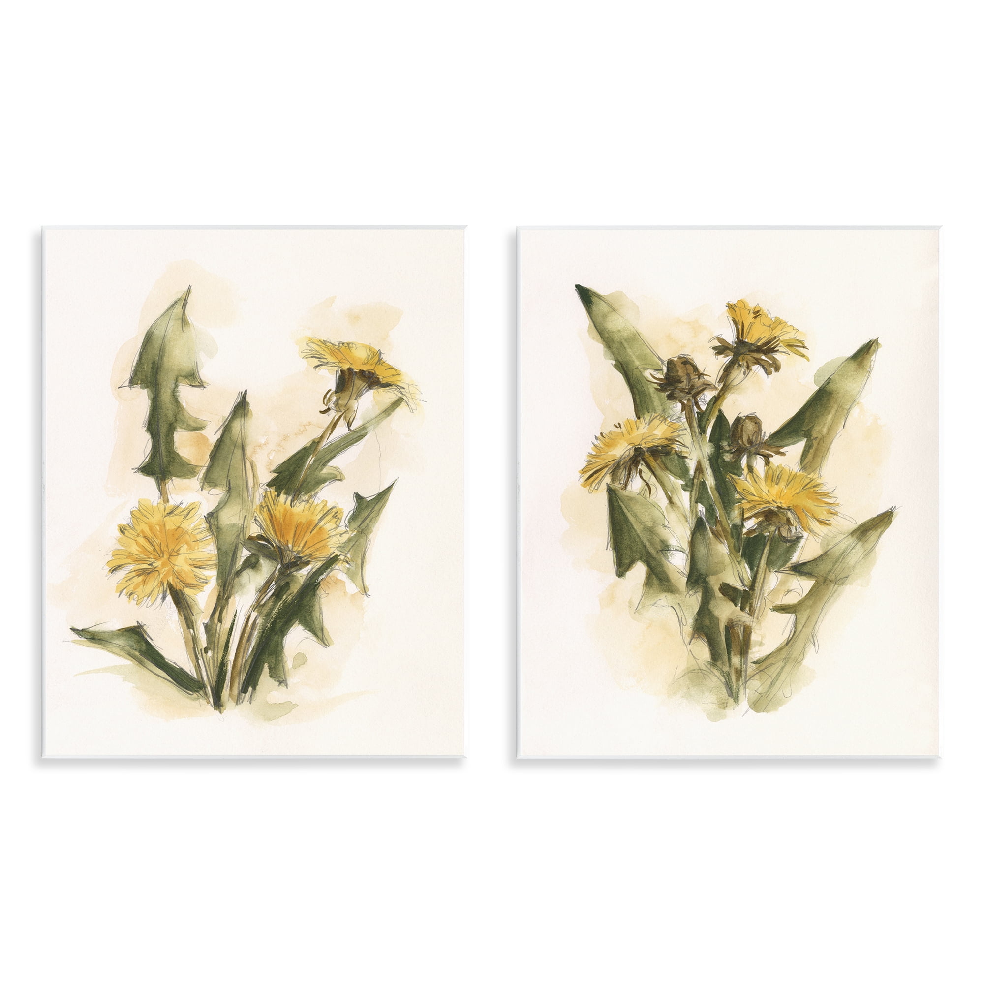 Stupell Industries Dandelion Watercolor Sketch Plants & Flowers Painting Unframed Art Print Wall Art, 11 x 14, Set of 2