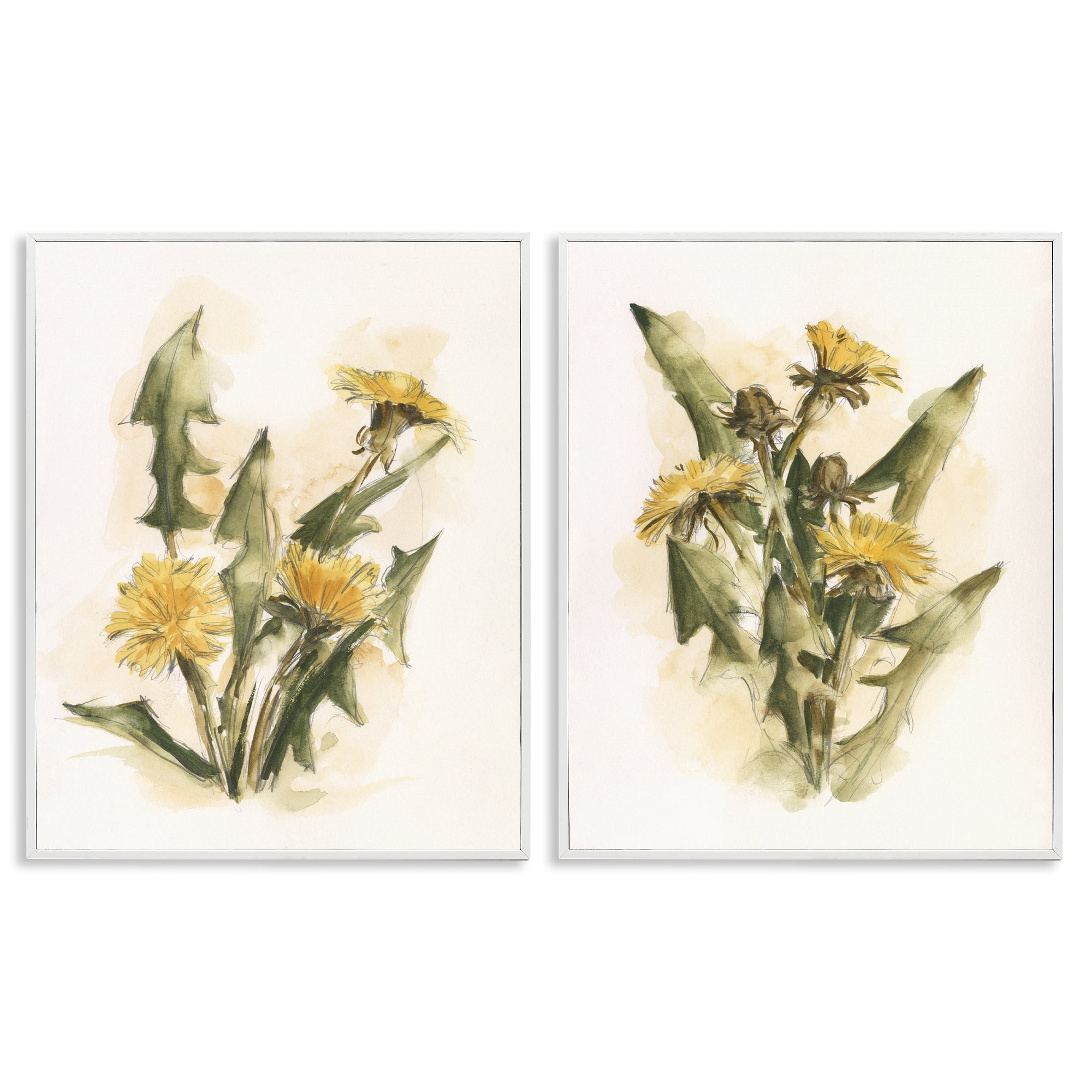 Stupell Industries Dandelion Watercolor Sketch Plants & Flowers Painting White Framed Art Print Wall Art, 11 x 14, Set of 2
