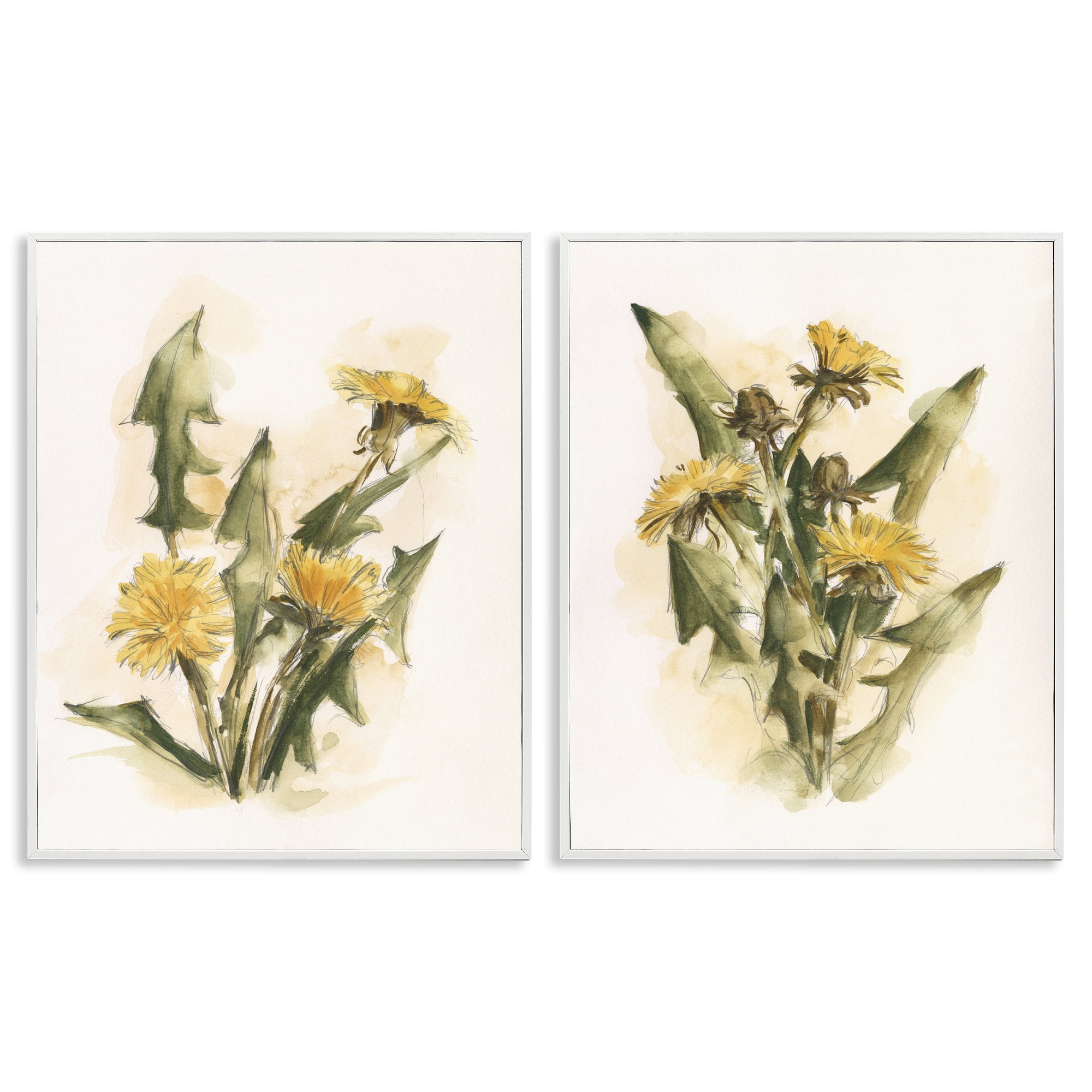 Stupell Industries Dandelion Watercolor Sketch Plants & Flowers Painting White Framed Art Print Wall Art, 24 x 30, Set of 2