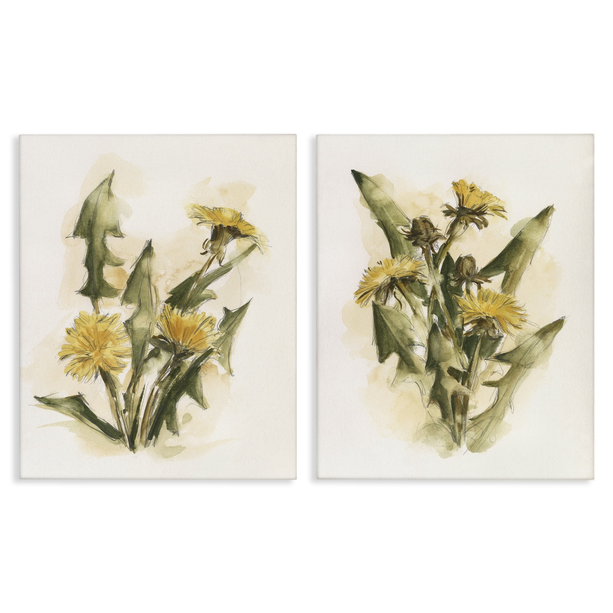 Stupell Industries Dandelion Watercolor Sketch Plants & Flowers Painting Wrapped Canvas Art Print Wall Art, 24 x 30, Set of 2