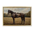 thumbnail image 1 of Stupell Industries Cottage Dark Brown Pony Portrait Gold Floating Frame Canvas Art, 25 x 17, by Petals Prints Design, 1 of 8