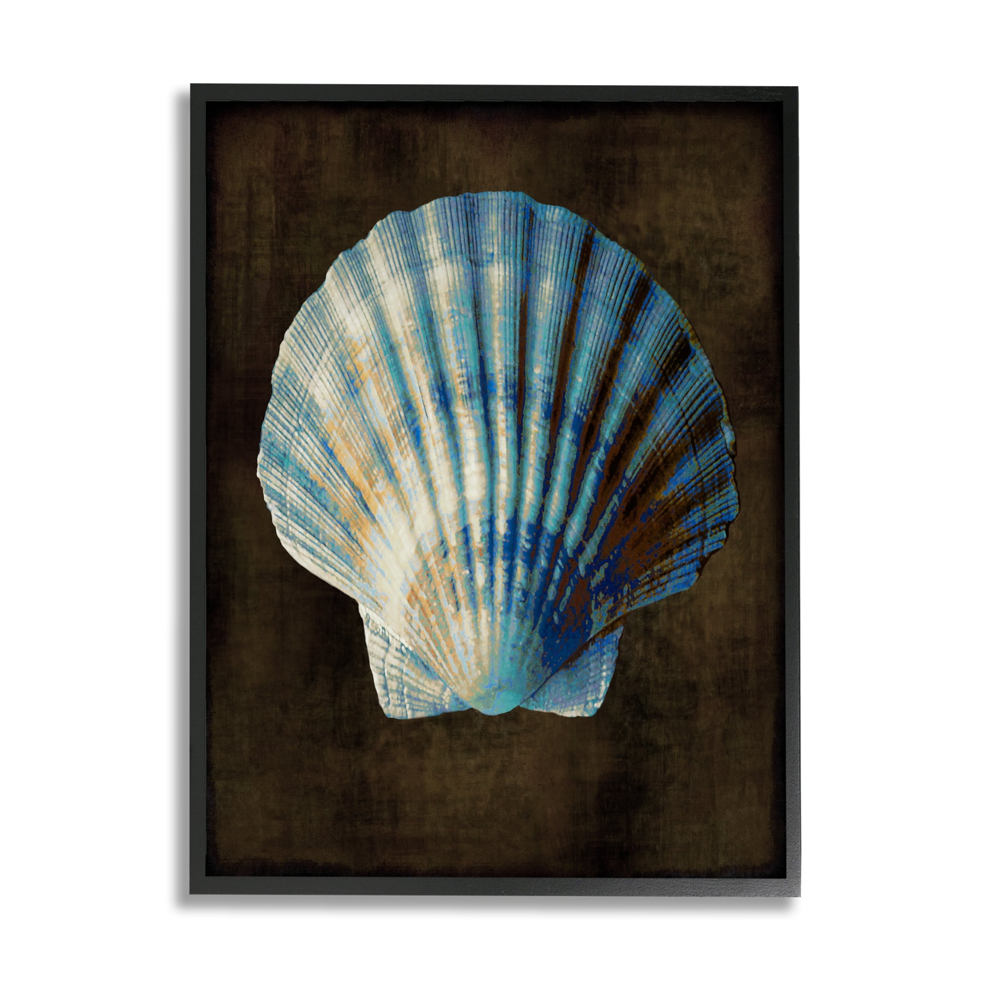 Stupell Industries Dark Clam Shell Nature Painting Black Framed Art Print Wall Art, 16 x 20