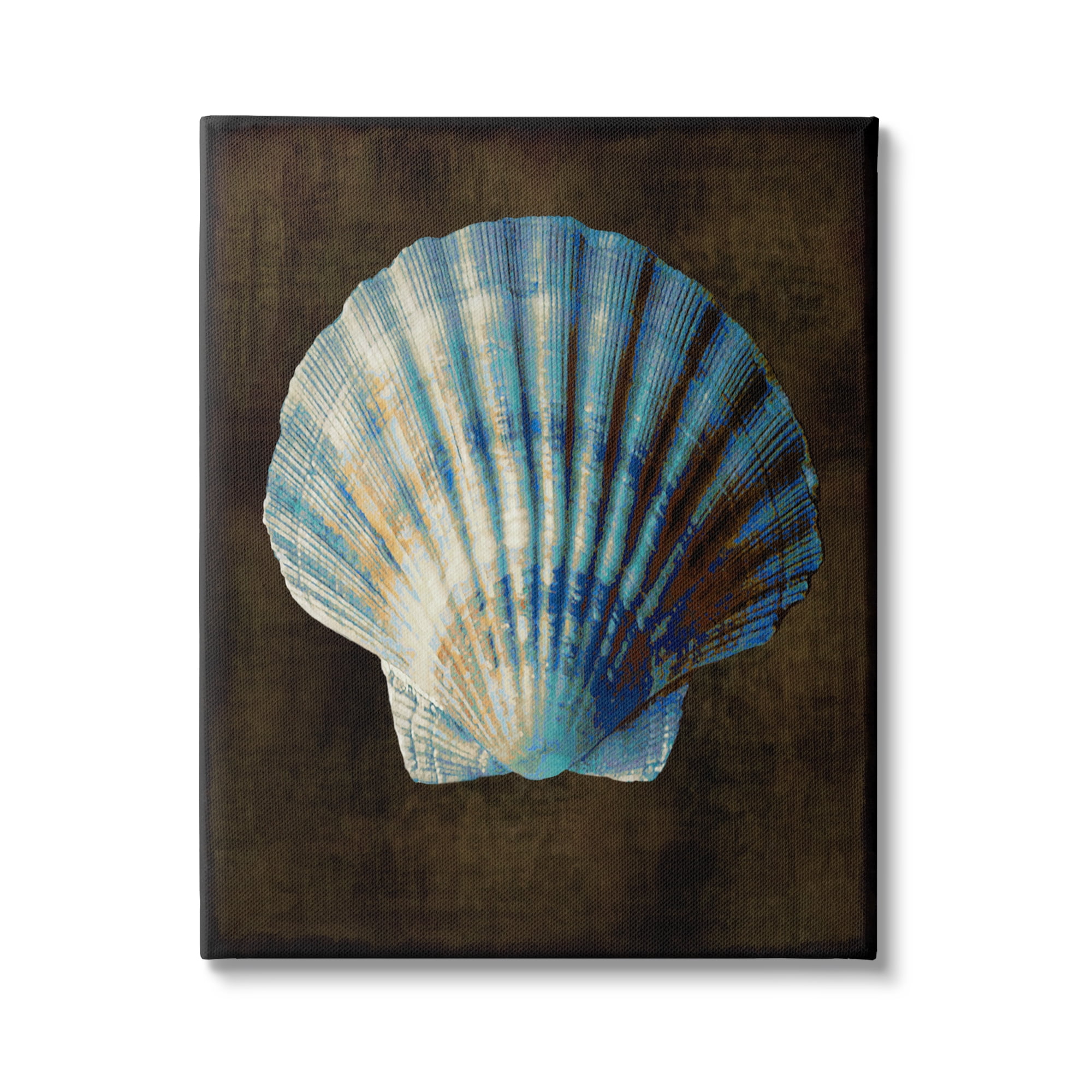 Stupell Industries Dark Clam Shell Nature Painting Gallery Wrapped Canvas Art Print Wall Art, 30 x 40