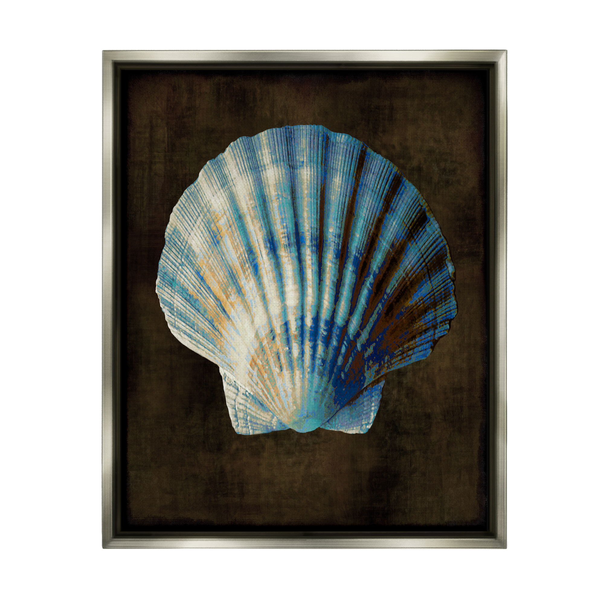 Stupell Industries Dark Clam Shell Nature Painting Gray Floater Framed Canvas Art Print Wall Art, 25 x 31