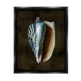 thumbnail image 1 of Stupell Industries Dark Conch Shell Nature Painting Black Floater Framed Canvas Art Print Wall Art, 17 x 21, 1 of 10