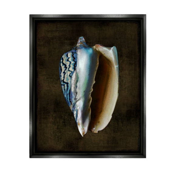 Stupell Industries Dark Conch Shell Nature Painting Black Floater Framed Canvas Art Print Wall Art, 17 x 21