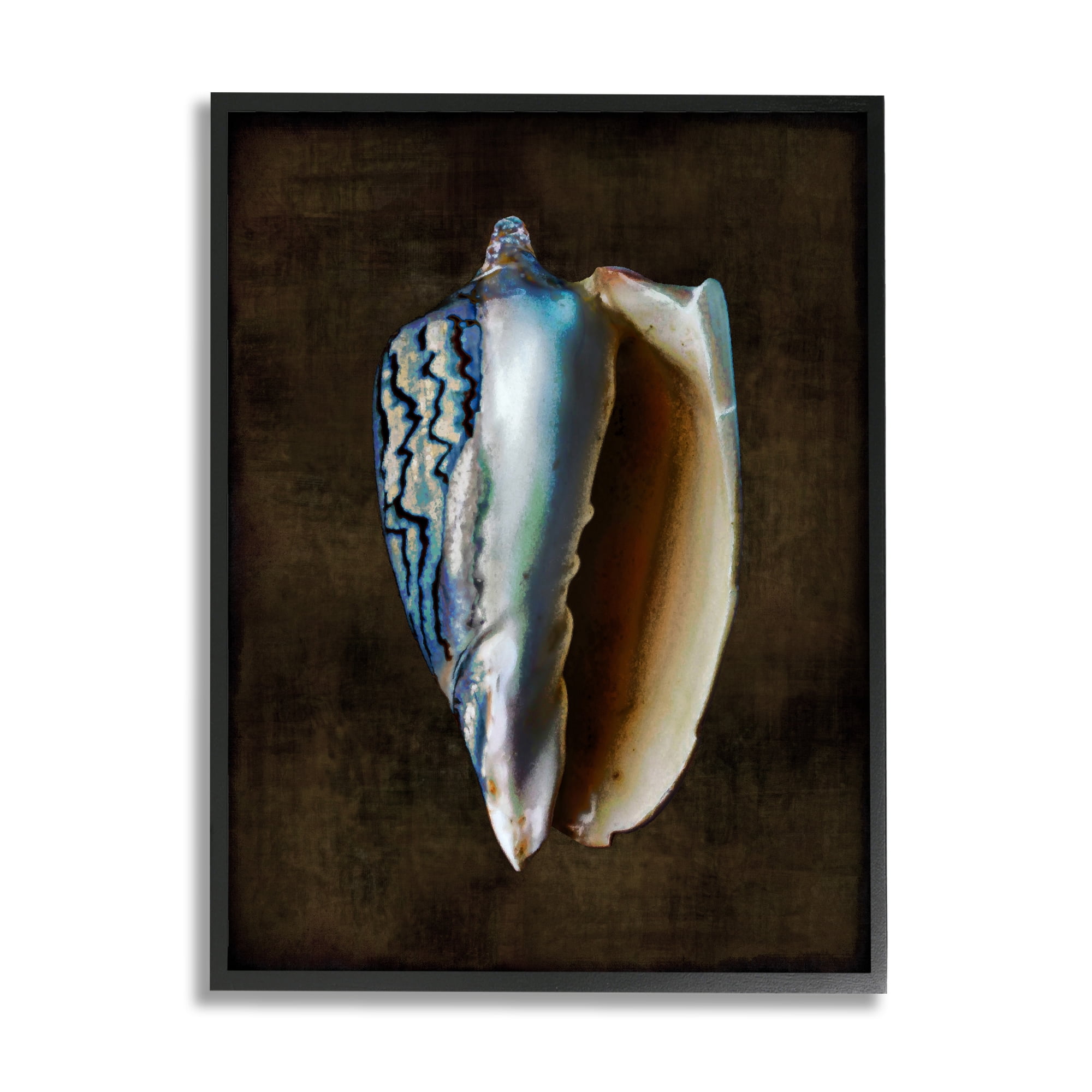Stupell Industries Dark Conch Shell Nature Painting Black Framed Art Print Wall Art, 16 x 20
