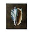 thumbnail image 1 of Stupell Industries Dark Conch Shell Nature Painting Gallery Wrapped Canvas Art Print Wall Art, 16 x 20, 1 of 8