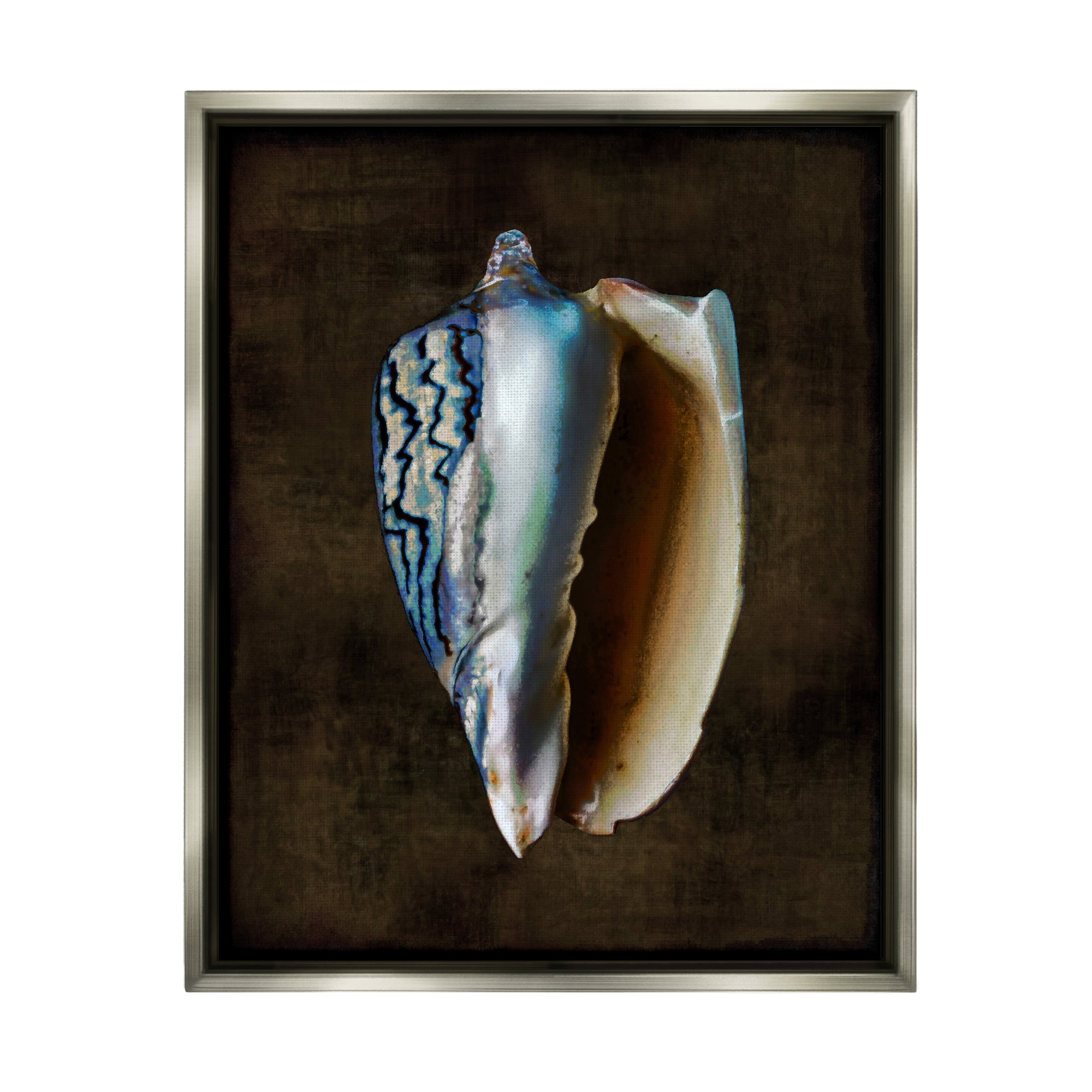 Stupell Industries Dark Conch Shell Nature Painting Gray Floater Framed Canvas Art Print Wall Art, 17 x 21