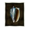 thumbnail image 1 of Stupell Industries Dark Conch Shell Nature Painting Gray Floater Framed Canvas Art Print Wall Art, 17 x 21, 1 of 10