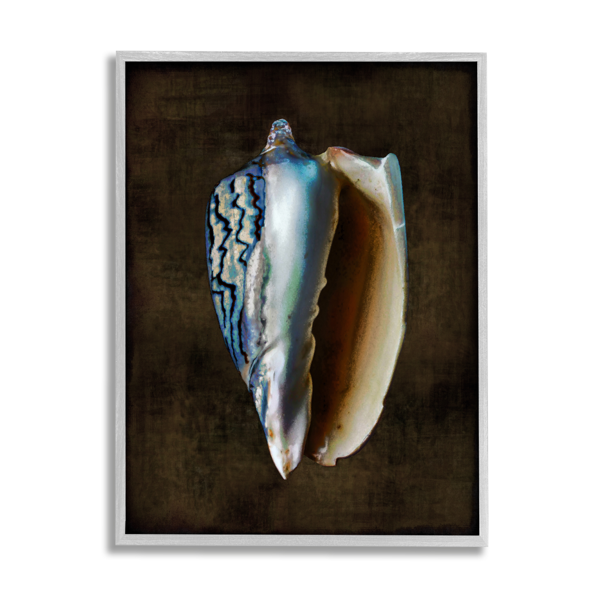 Stupell Industries Dark Conch Shell Nature Painting Gray Framed Art Print Wall Art, 11 x 14