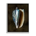 thumbnail image 1 of Stupell Industries Dark Conch Shell Nature Painting Gray Framed Art Print Wall Art, 11 x 14, 1 of 9