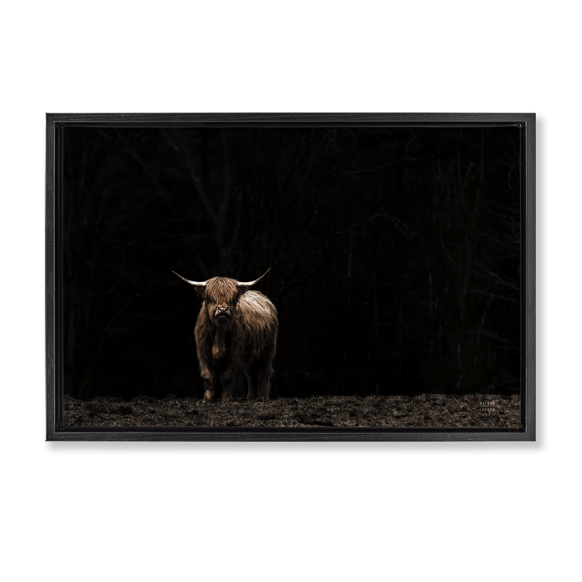 Stupell Industries Dark Contrast Highland Cow Animals Photography Black Floater Framed Canvas Art Print Wall Art, 25 x 17