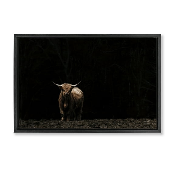 Stupell Industries Dark Contrast Highland Cow Animals Photography Black Floater Framed Canvas Art Print Wall Art, 25 x 17